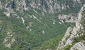 Trail Walking La Palud-sur-Verdon - La palud sur Verdon - Photo 15