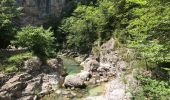 Excursión Senderismo Fanlo - Canyon d’Anisclo et village 10 km - Photo 5