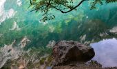 Tocht Stappen Quinson - Quinson - Basses Gorges - Chapelle Ste Maxime - Baume des Pierres - Photo 13