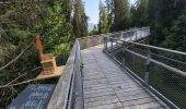 Trail Walking Laax - Senda Dil Dragun - Photo 5