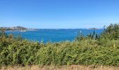 Tour Wandern Paimpol - Boucle Port de Paimpol pointe de Guilben - Photo 6