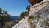 Trail On foot Cornudella de Montsant - Blue-Yellow - Photo 3
