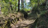 Randonnée Marche Garanou - Camina De Luzenac à Ax les thermes - Photo 5