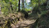 Tocht Stappen Garanou - Camina De Luzenac à Ax les thermes - Photo 5