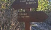 Trail Walking Coursegoules - Circuit de Vallon - Photo 3