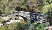 Tour Wandern Saint-Jean-d'Arvey - St-Jean-d'Arvey-Thoiry-2021-04-23 - Photo 2