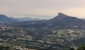 Trail Walking Sisteron - SISTERON.   Le Mollard . Col S Pierre o n  - Photo 8