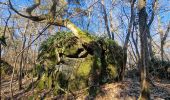 Excursión Senderismo Milly-la-Forêt - Boucle Milly - Noisy - Le Vaudoué - Photo 9