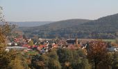 Tour Zu Fuß Klingenberg am Main - Rundwanderweg Klingenberg : Fuchs - Photo 3