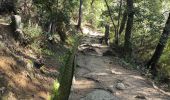 Excursión Senderismo Laroque-des-Albères - la Roque des Albères canal - Photo 4