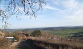 Trail Walking Theux - theux . hodbomont . grand pierreux . jevoumont . franchimont . theux  - Photo 16