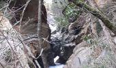 Tocht Stappen Escragnolles - Escragnolles Arche Ponadieu Grotte de la Baume Obscure StVallier - Photo 2