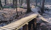 Trail Walking Raeren - Venn trilogie (2eme étape) - Photo 8