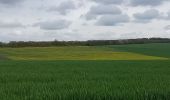 Tour Elektrofahrrad Saint-Clément - sortie vtt 23042023 - Photo 6