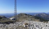 Trail Walking La Bastide - Mont Lachens depuis La Bastide - Photo 4