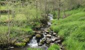 Trail Walking Le Puy-en-Velay - [01] Compostelle : du Puy-en-Velay à Saint-Privat-d'Allier - Photo 5