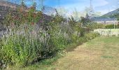 Trail Walking Embrun - mon rikiki tour d embrun  - Photo 4