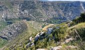 Percorso Marcia Saint-Maurice-Navacelles - cirque de nacelles moulin de la Foux - Photo 4