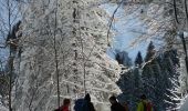 Randonnée Raquettes à neige Sainte-Croix - Col des Etroits Le Chasseron CAF - Photo 20