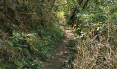 Trail Walking Die - Le Dôme ou Pié Ferré de l'Abbaye Valcroissant - Photo 7