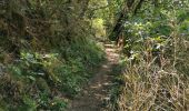 Excursión Senderismo Die - Le Dôme ou Pié Ferré de l'Abbaye Valcroissant - Photo 7