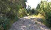 Trail Walking La Roche-des-Arnauds - SityTrail - Circuit de la combe du Duc - Photo 12