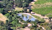 Trail Walking La Môle - Barrage de la verne - Sommet de l'Argentière par les crêtes des Pradets - Retour par le bord du lac (V1) - Photo 14