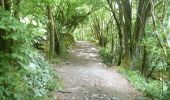 Tour Zu Fuß Craven - Ingleton Waterfalls Trail - Photo 10