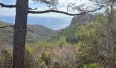 Tocht  Saint-Raphaël - Rocher l’Estérel le - Photo 1