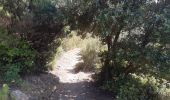 Trail Walking Banyuls-sur-Mer - 22 08 / 8-9-10 Oli40 - épisode 1 - Photo 18