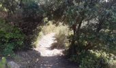 Tour Wandern Banyuls-sur-Mer - 22 08 / 8-9-10 Oli40 - épisode 1 - Photo 18