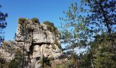 Excursión Marcha nórdica Saint-Étienne-de-Gourgas - Parlatge Maison forestière Larcho - Photo 3