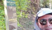 Trail Walking Saint-Joseph - boucle cascade bras rouge - Photo 13