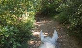 Trail Horseback riding Orthoux-Sérignac-Quilhan - mas bas - clairan  - Photo 6