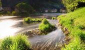 Tour Zu Fuß Ziegenrück - Wanderweg blaues Kreuz - Photo 9