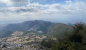 Trail Walking Sablet - Les crêtes de saint Amant  - Photo 8