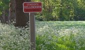 Trail On foot Hellendoorn - WNW Twente - Ligtenberg - paarse route - Photo 1