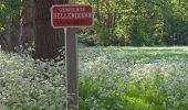 Percorso A piedi Hellendoorn - WNW Twente - Ligtenberg - rode route - Photo 1