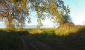 Trail Walking Boos - 20211123-Boos - Photo 4