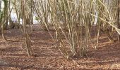 Tour Wandern Valorbiquet - Aux alentours de St Cyr du Ronceray  - Photo 16