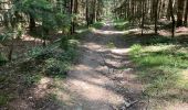 Trail On foot Stoumont -  Marche Adeps Rahier 12 Km  - Photo 2