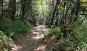 Trail Walking Allos - Lac des grenouilles  - Photo 1