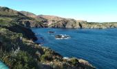 Tocht Stappen Banyuls-sur-Mer - Banyuls Cerbère  - Photo 1