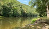 Trail  Conques-en-Rouergue - Saint cyprien figeai - Photo 3