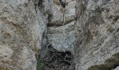 Excursión Senderismo Tourves - LE CARAMY FAIT - Photo 1