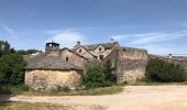 Randonnée Marche Millau - Millau le cun - Photo 2