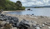 Trail Walking Killarney Municipal District - Walk in the Killarney National Park - Photo 4