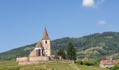 Tour Wandern Mittelweier - Les perles du vignoble : Mittelwihr - Beblenheim - Zellenberg - Hunawihr - Riquewihr - Sigolsheim - Photo 2