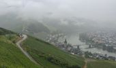 Tour Wandern Bernkastel-Kues - A travers les Vignes de la Moselle 🌿 - Photo 6