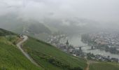 Tocht Stappen Bernkastel-Kues - A travers les Vignes de la Moselle 🌿 - Photo 6